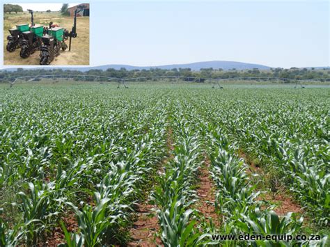 Economy No Till Maize Planters Eden Equip