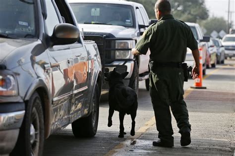 Gang Member Convicted Sex Offender Apprehended By Border Patrol In South Texas