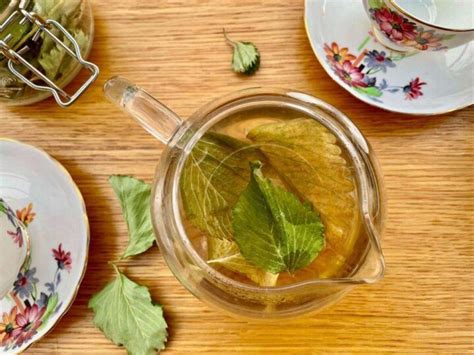 How to Make Strawberry Leaf Tea - Cinnamon and Kale