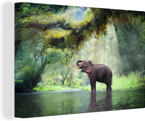 Canvas Jungle Olifant Water Zonlicht Bomen Natuur