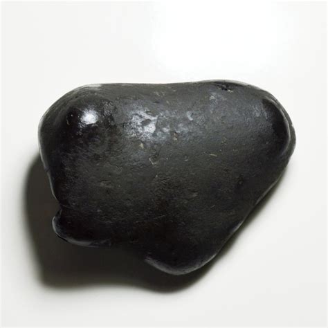 Original Kurma Shaligram Shila Origin From Gandaki River Nepal Idol