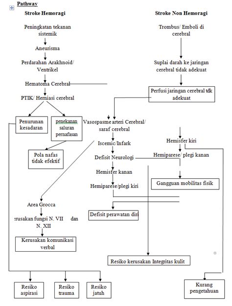 Pathway Stroke Hemoragik Pathway Patofisiologi