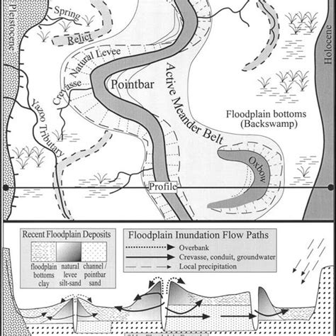 (PDF) Natural Levees