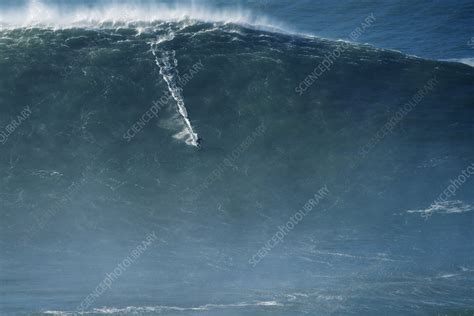 Surfer riding a big wave, Praia do Norte, Nazare, Portugal - Stock ...