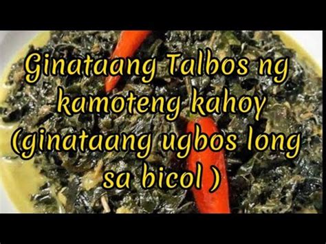 How To Cook Ginataang Talbos Ng Kamoteng Kahoy With Tinapa Ugbos Long