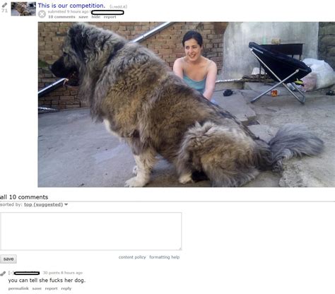 Incels Watching Too Much Beastiality Porn R IncelTears