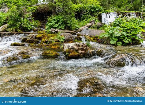 Close Up View Of One Of The Springs Of Springs Waterfall Stock Photo