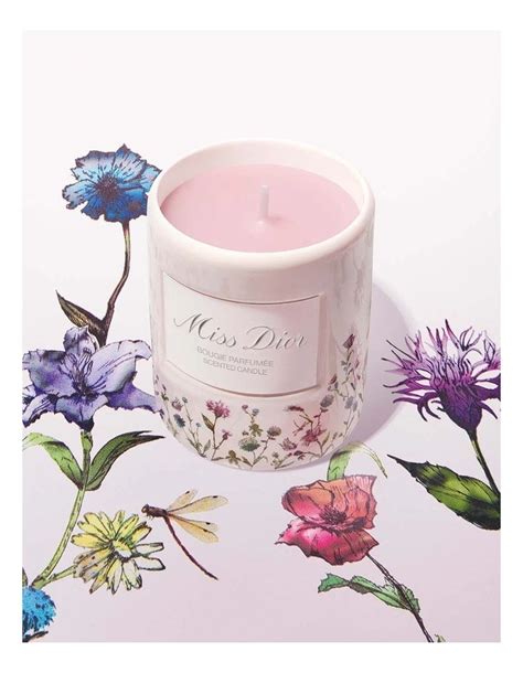 Myer Scented Candles Atelier Yuwaciaojp