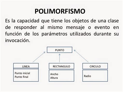 Programaci N Orientada A Objetos Polimorfismo P O O