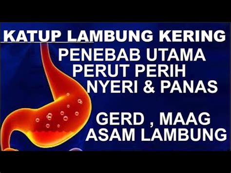 KATUP KERING PENYEBAB PERUT NYERI DAN PANAS HANYA DENGAN 91 KAPSUL