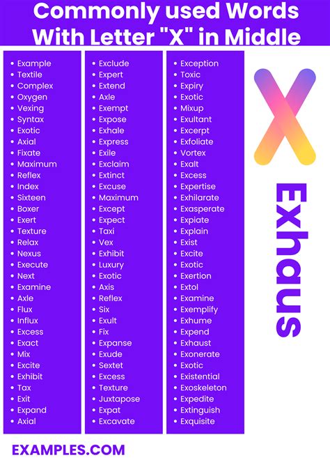 Words With Letter X In Middle 450 List Meaning Pdf