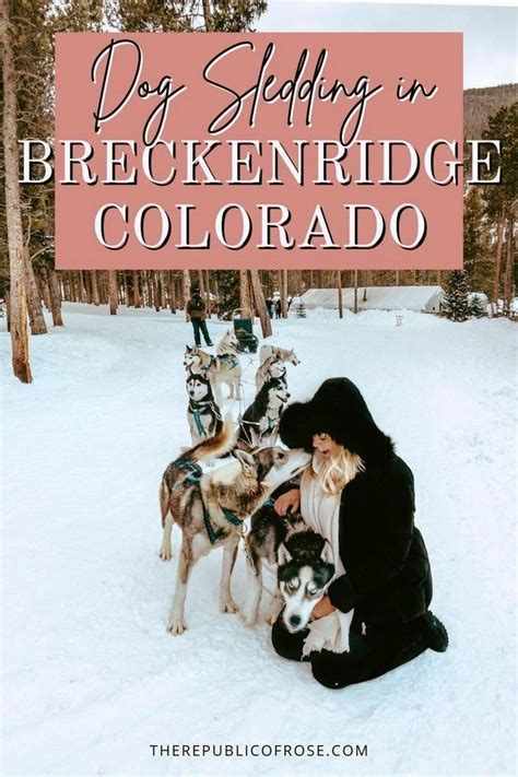 Dog sledding in breckenridge colorado – Artofit