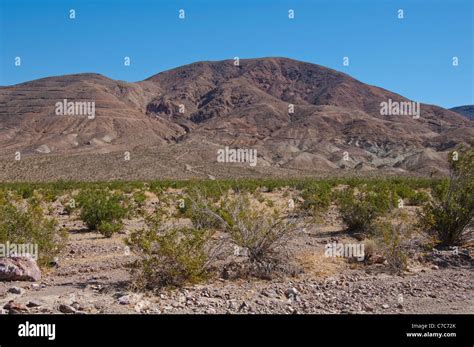 Mojave Desert, California, USA Stock Photo - Alamy