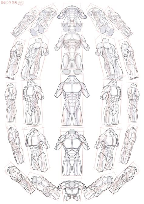 Best 11 HOW-TO-DRAW-BODY-SHAPES-Tutorials-For-Beginners | Anatomy ...