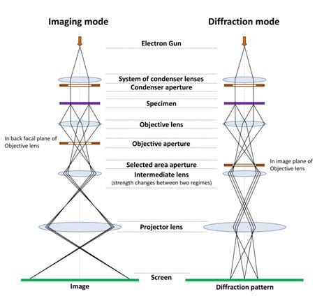 What Is An Electron Microscope 4 Types Of Em Vaccoat