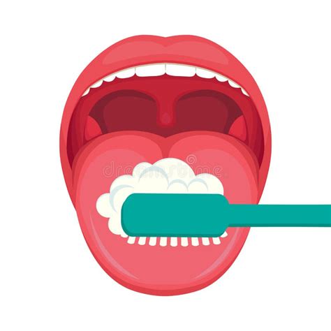 Instructions Sur La Mani Re De Se Brosser Correctement Les Dents Avec