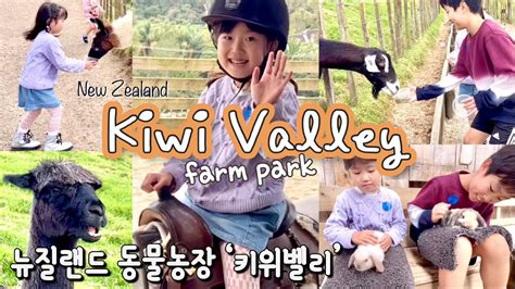 animal farm  interactive zoo  auckland  zealand