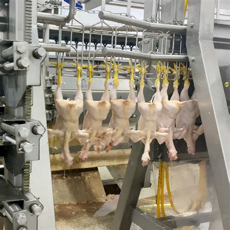 Chicken Slaughterhouse Equipment