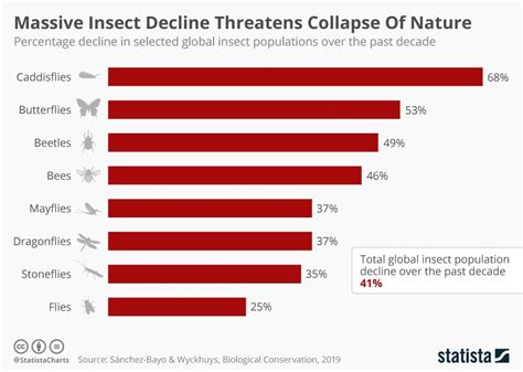 Infographic Massive Insect Decline Threatens Collapse Of Nature