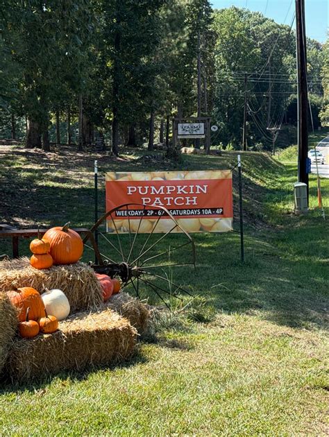 Midlands... - Midlands Montessori School - Lexington S.C