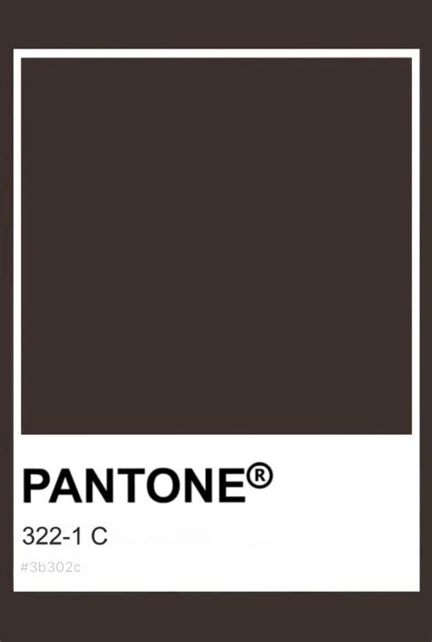 Pantone Skin Tone C Pantone Colour Palettes Pantone Pantone Color