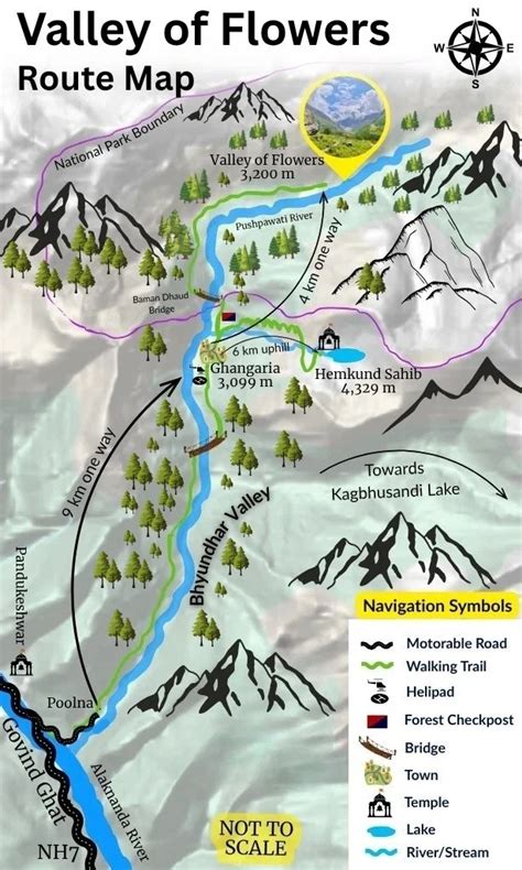 valley  flowers  hemkund sahib trek package permit guide