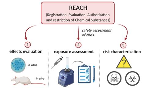 The Risk Assessment Methodology For Nanomaterials Nms Based On