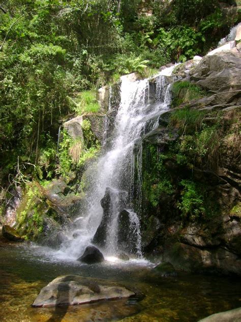 Sever Do Vouga All About Portugal