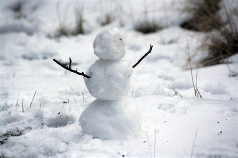 M Todo Bola De Neve Conhe A Essa Estrat Gia Para Quitar D Vidas