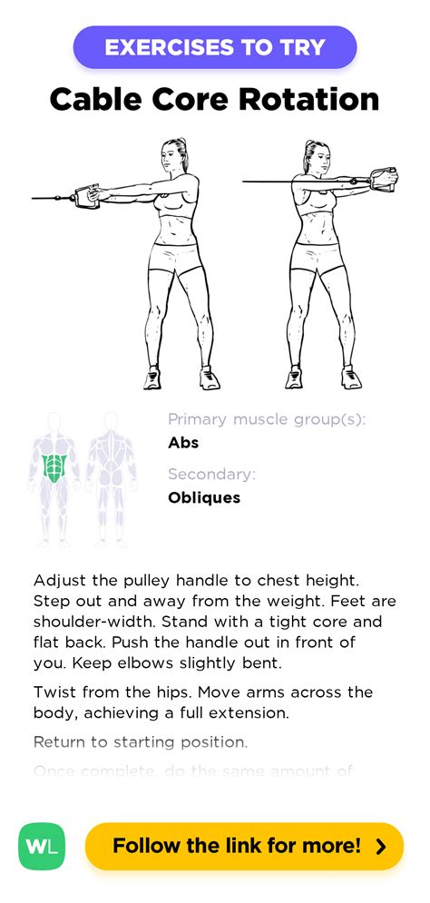 Cable Core Rotation – WorkoutLabs Exercise Guide