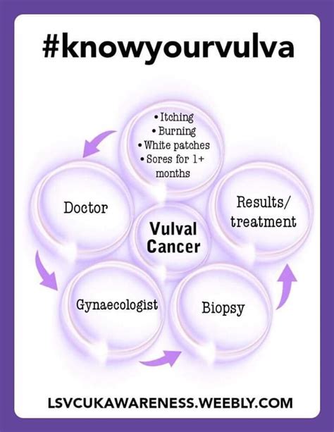 Vulva Cancer It Started With An Itch By Deb Cook Lichen Sclerosus