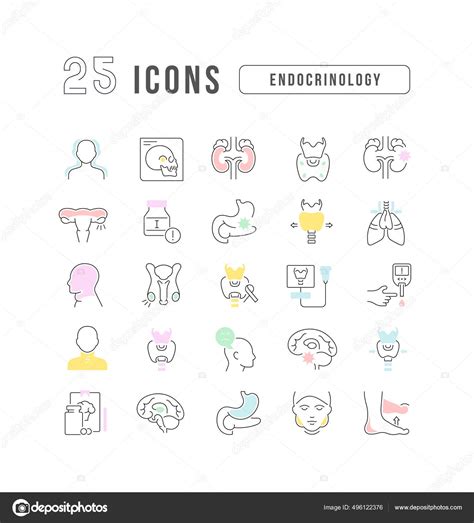 Endocrinology Collection Perfectly Thin Icons Web Design App Most