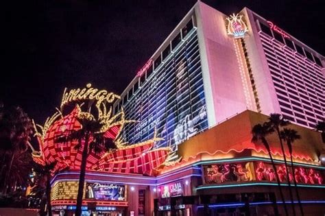 Flamingo hotel and casino las vegas history - joafinder