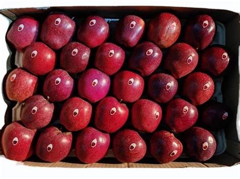 Himachali A Grade Organic Apple Packaging Size Kg Packaging Type