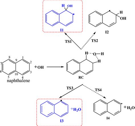 Scheme For The Initial Reaction Of Naphthalene With OH Radical