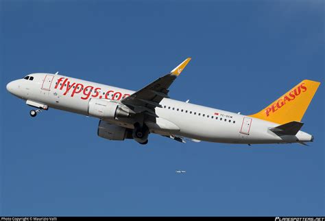 Tc Dcm Pegasus Airbus A Wl Photo By Maurizio Valli Id