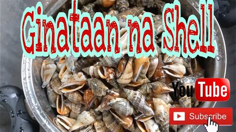 Ginataan Na Shell Tym Youtube