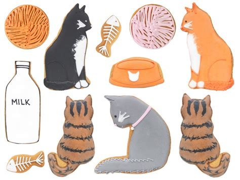 Cool For Cats Biscuit Tin Feline Inspired Biscuits