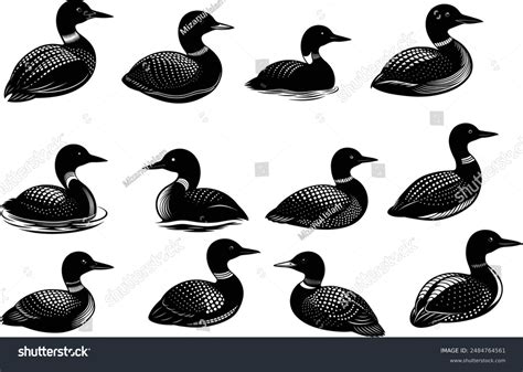 Loon Silhouette Vector Illustration Design Bundle Stock Vector (Royalty ...