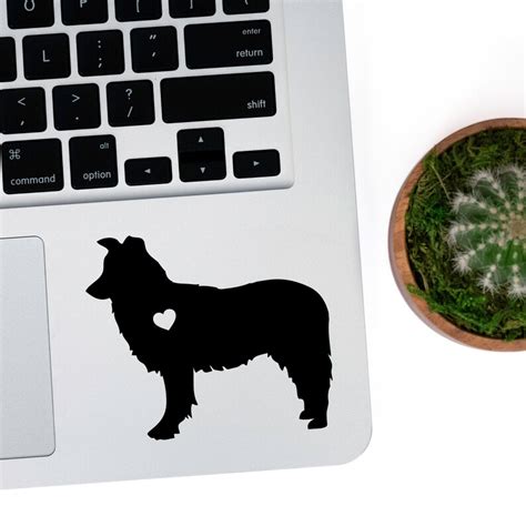 Border Collie Sticker Border Collie Decal Car Laptop Vinyl Etsy