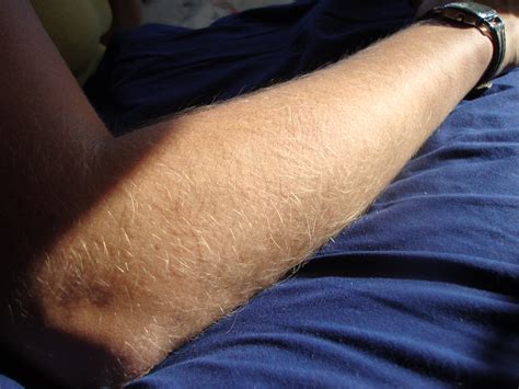 Blonde Hairy Arms Jdevious Flickr