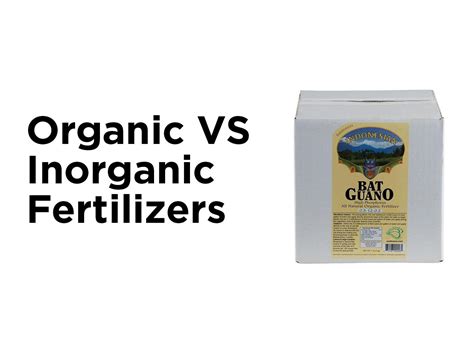 Organic Vs Inorganic Fertilizers — 1000bulbs Blog