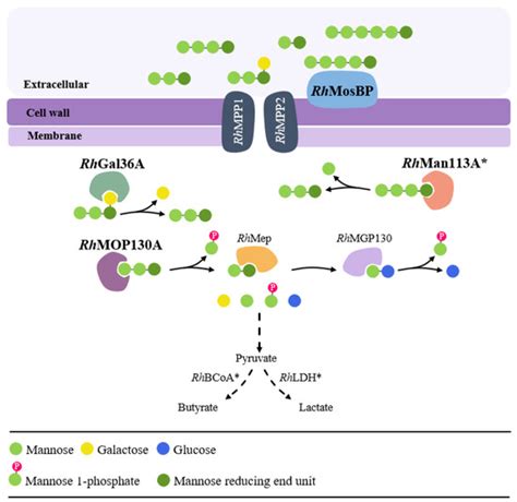 Microorganisms | Editor’s choice