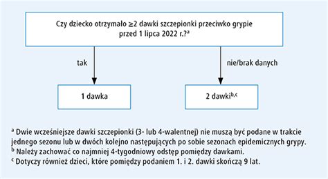 Profilaktyka Grypy Jakie Zalecenia Obowi Zuj W Sezonie Epidemicznym