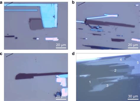 Figure S Optical Microscope Images Of Exfoliated Crsbr Samples A