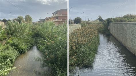 Gioia Tauro Il Fiume Budello A Rischio Esondazione Lappello Dei