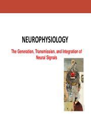 Chapter Neurophysiology Pdf Neurophysiology The Generation