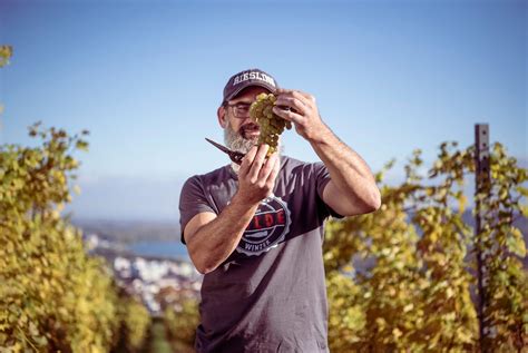 Weingut Alexander Zöller Onlineshop I Meraner Weinhaus