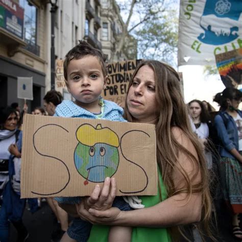 Organizaciones Ambientalistas Rechazan La Ley Ómnibus Y El Dnu De