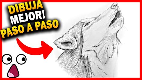 Lobo Para Dibujar A Lapiz Facil